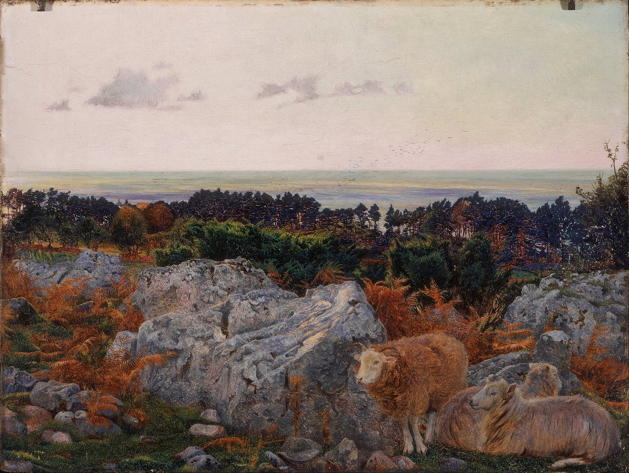 Morecambe Bay z Warton Crag autorstwa Daniel Alexander Williamson