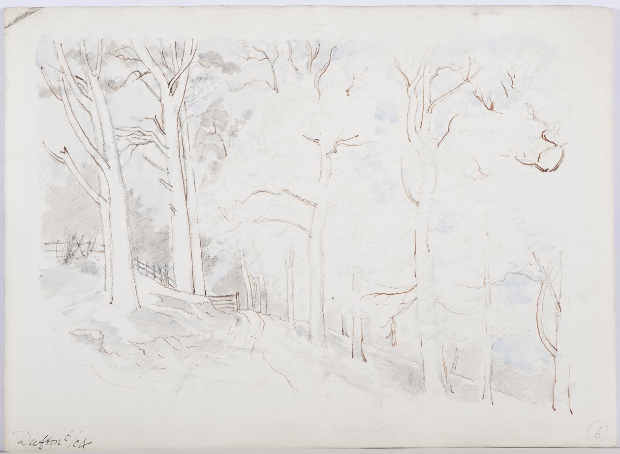 Dufton, 1904 (atrament, ołówek i toaleta na papierze) autorstwa Daniel Oliver