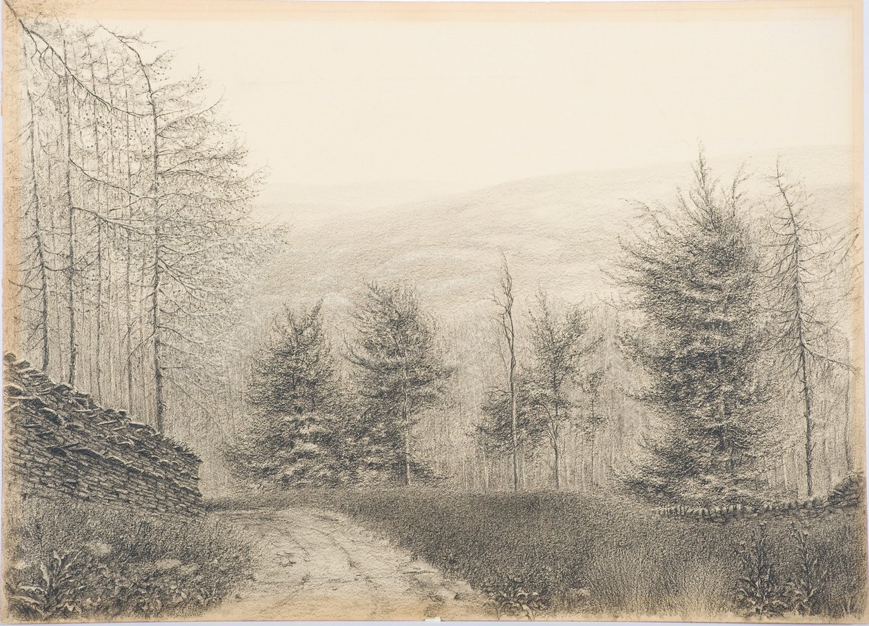 Egglestone Bridge, Teesdale, ok. 1916 (czarna kredka na kartce) autorstwa Daniel Oliver