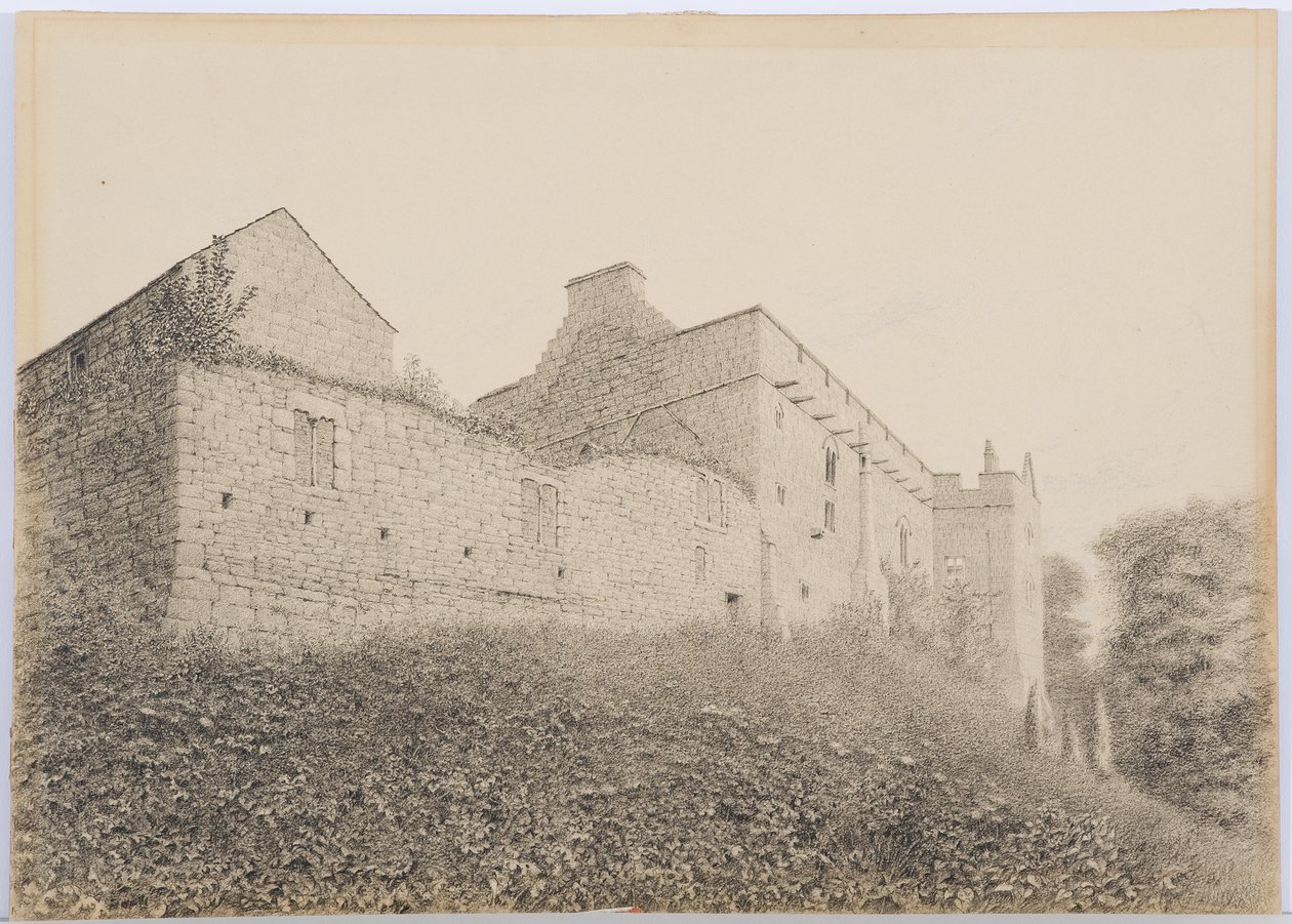 ok. 1916 (ołówek i wc na papierze) autorstwa Daniel Oliver