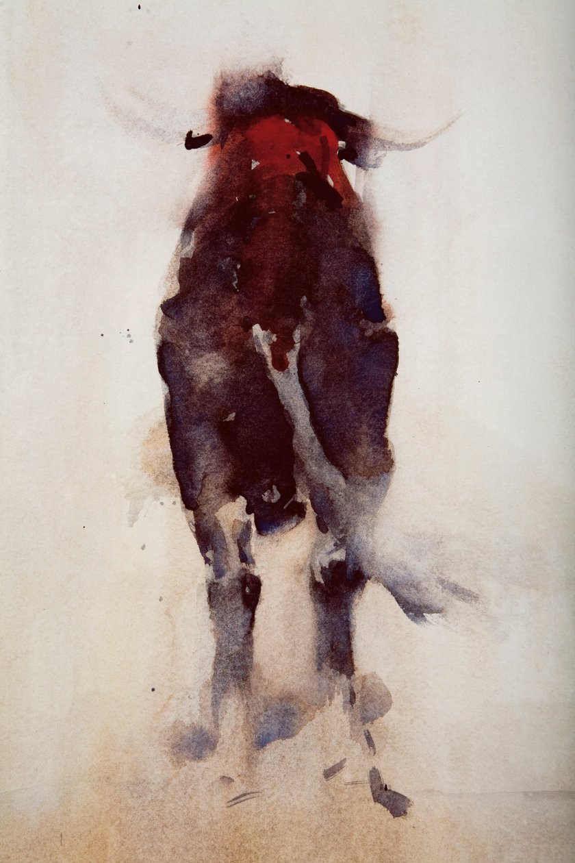 Byk, szczegół (zob. 287414) autorstwa Daniel Cacouault