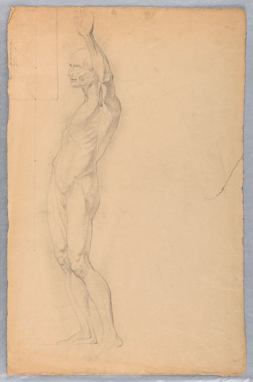 Rysunek, studium anatomiczne mężczyzny, ok. 1850 r. autorstwa Daniel Huntington