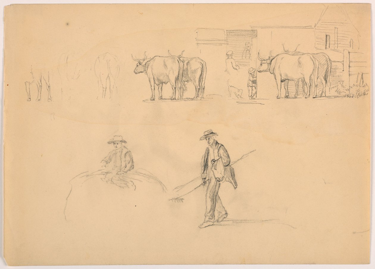 Rysunek, Barnyard; Postacie i woły, 1878 autorstwa Daniel Huntington
