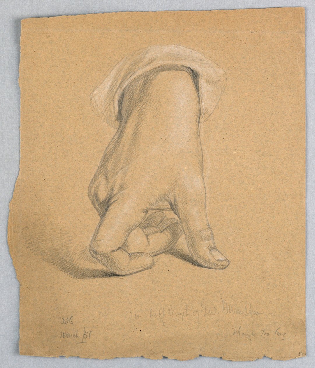 Rysunek, generał Alexander Hamilto, marzec 1851 r. autorstwa Daniel Huntington