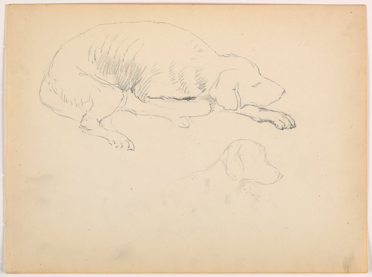 Rysunek, Milo (pointer), dwa studia, ok. 1862 r. autorstwa Daniel Huntington