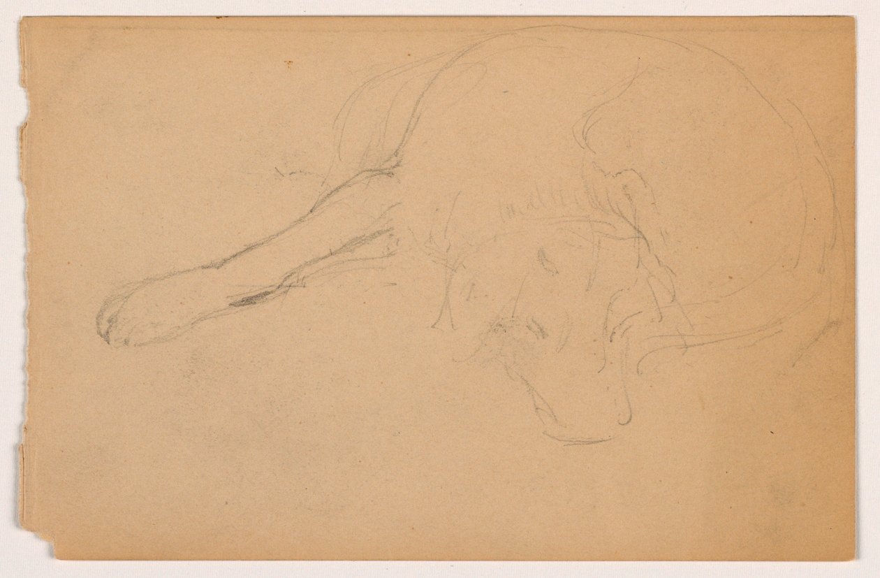 Rysunek, Miol (pointer), ok. 1862 r. autorstwa Daniel Huntington