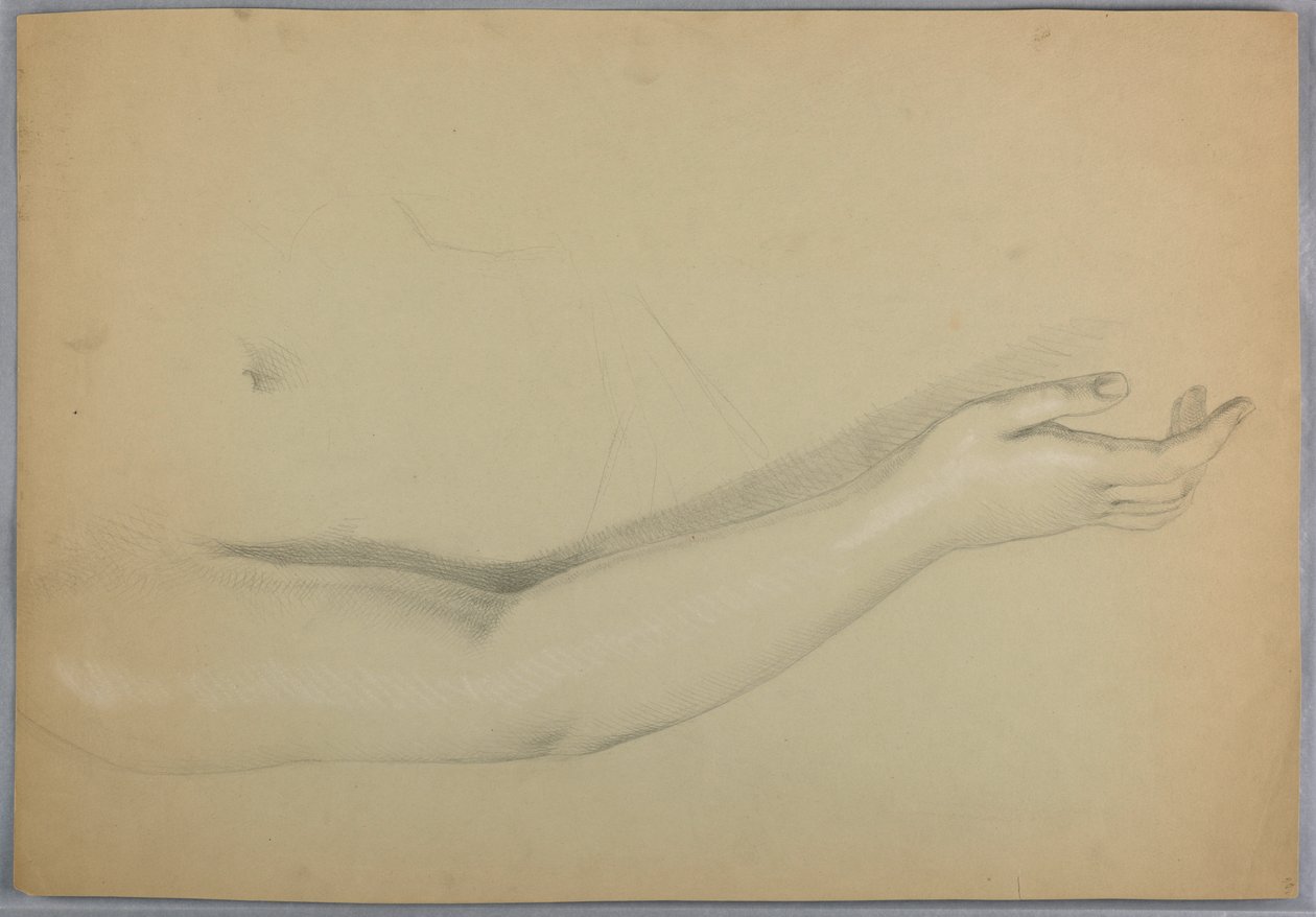 Rysunek, studium duplikatu "C", 1850 r. autorstwa Daniel Huntington