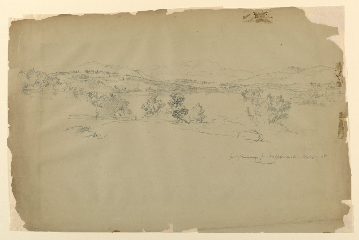 Jezioro Winnipesaukee z Wolfeboro Neck, patrząc na zachód autorstwa Daniel Huntington