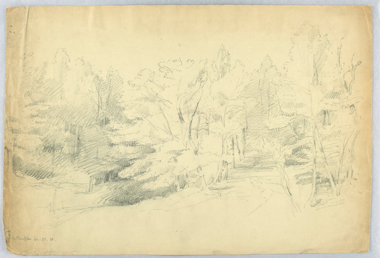 Zalesiona scena – West Campton, New Hampshire autorstwa Daniel Huntington
