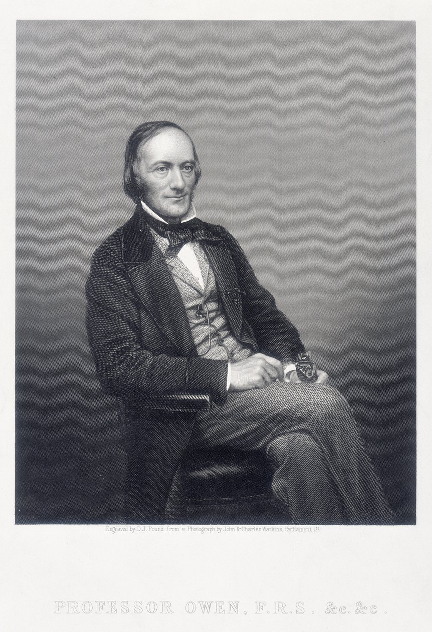 Sir Richard Owen, angielski zoolog, ok. 1860 r. autorstwa Daniel John Pound