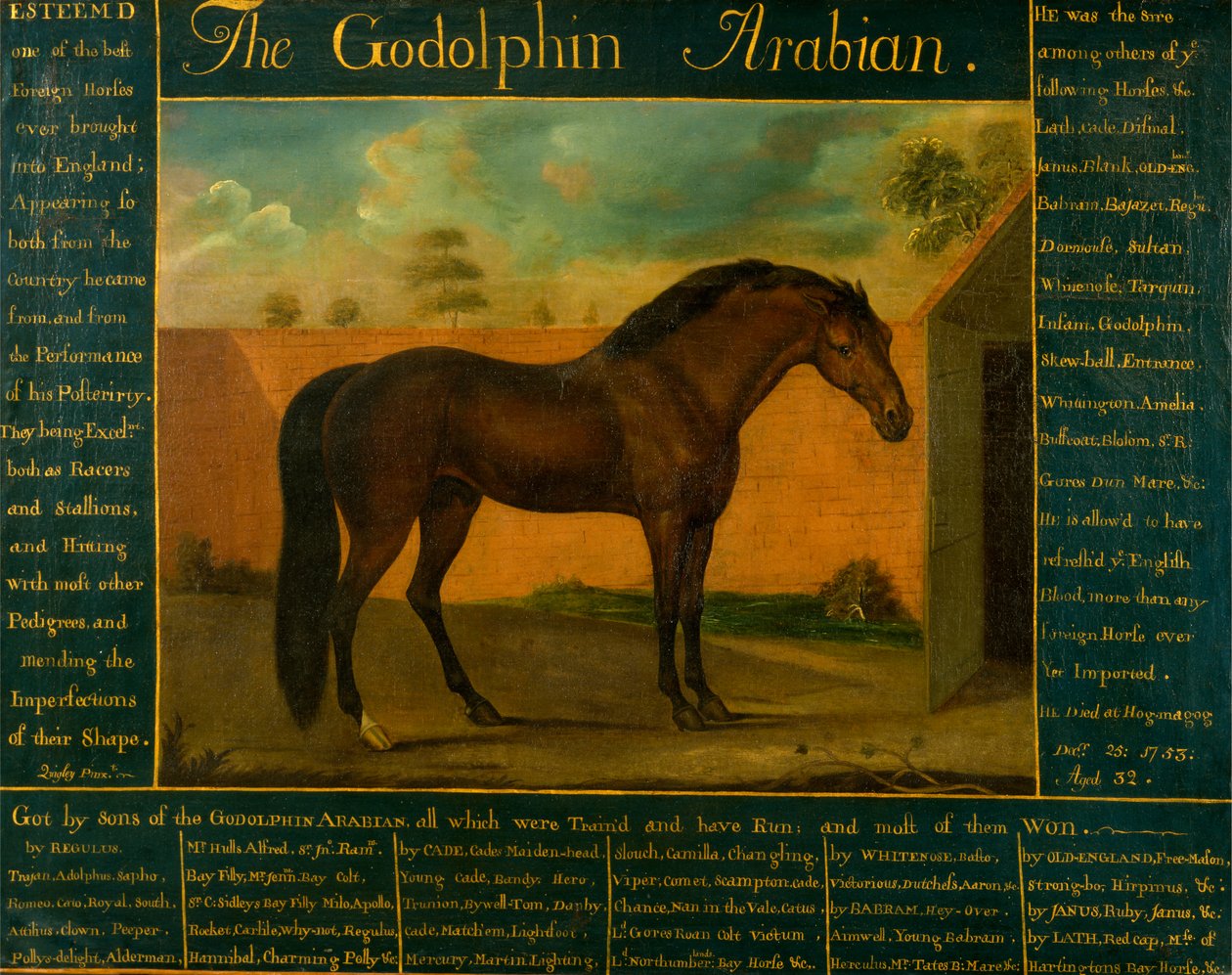 Arab Godolphin autorstwa Daniel Quigley