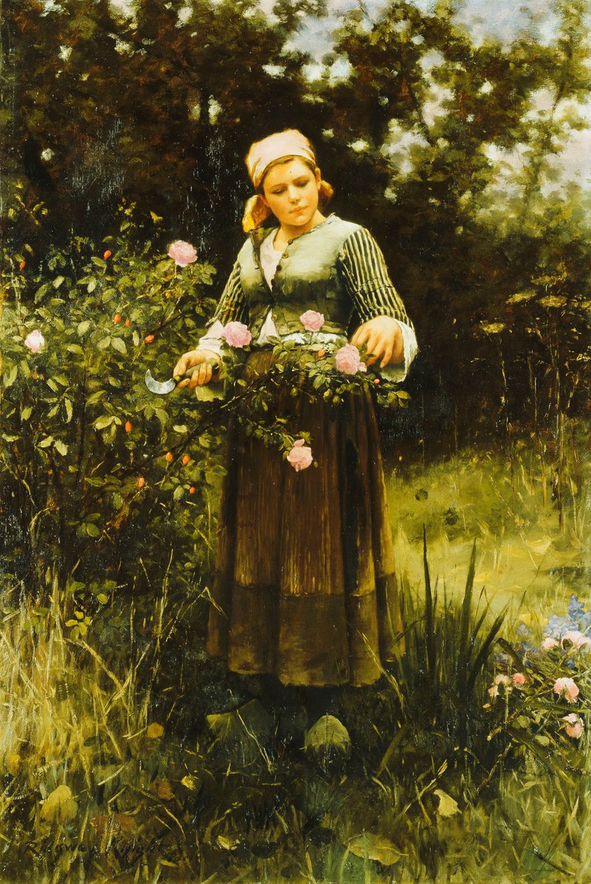 Zbieranie Róż, autorstwa Daniel Ridgway Knight