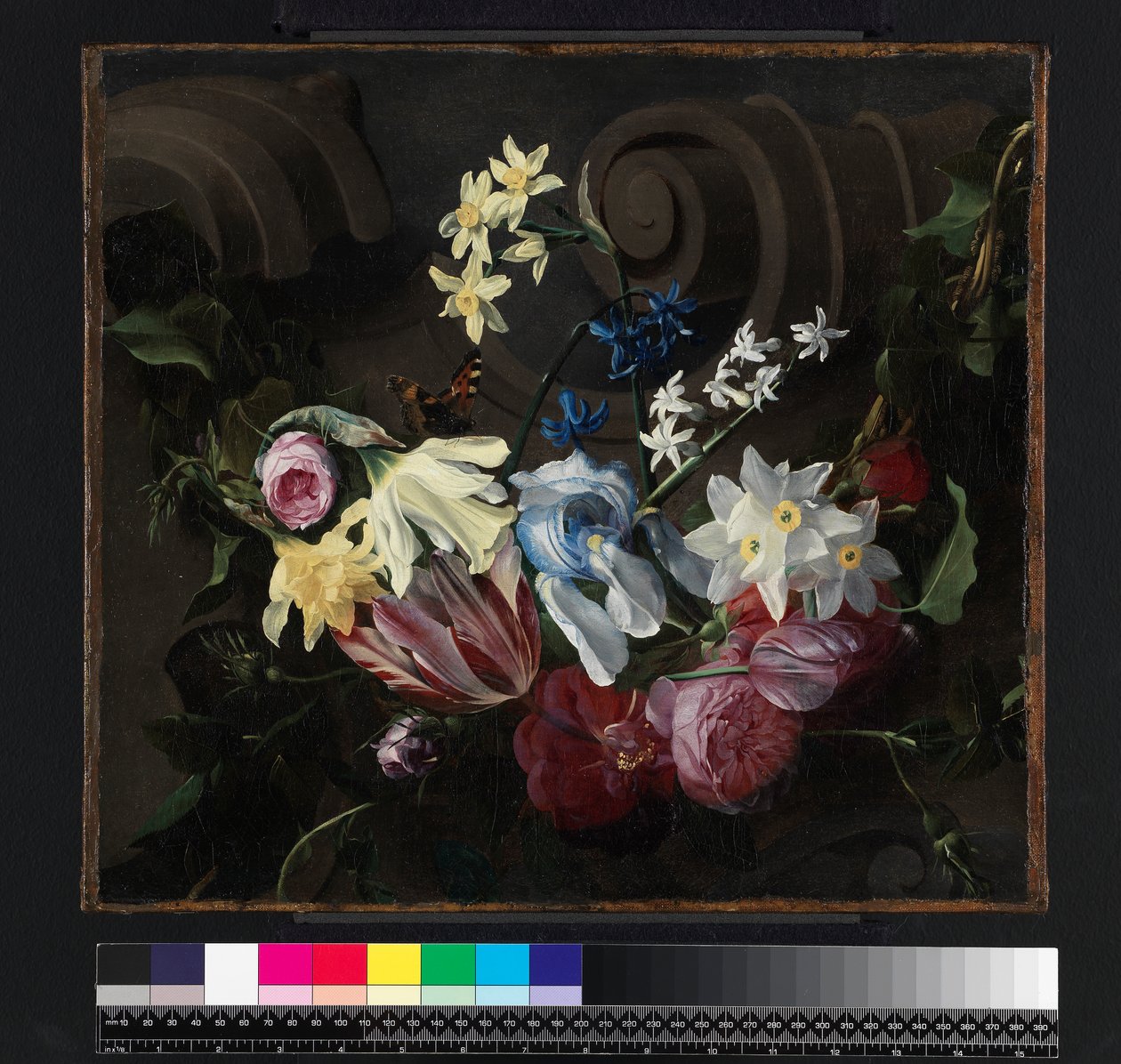 Feston kwiatów, przed 1661 autorstwa Daniel Seghers