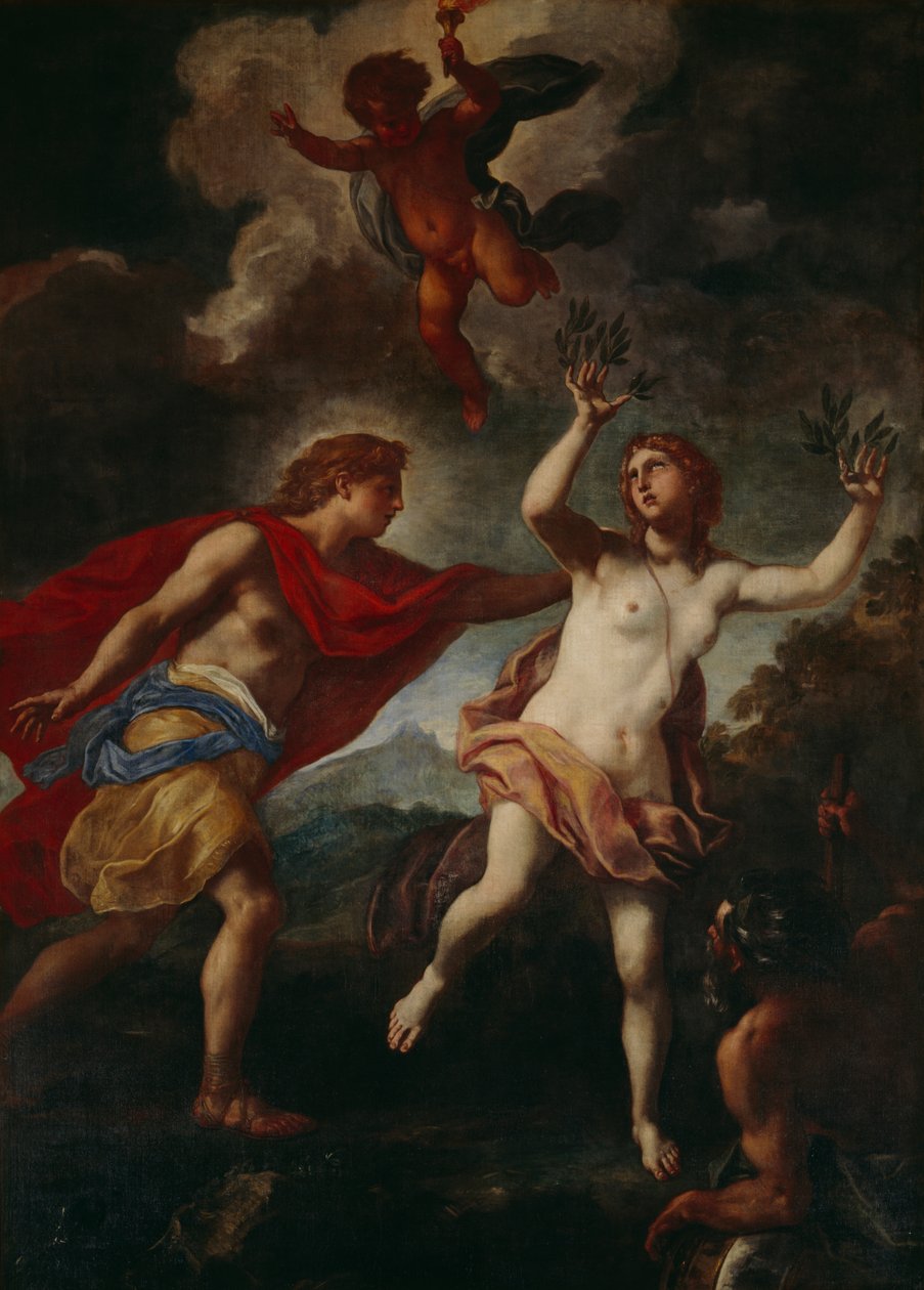Apollo i Dafne (olej na płótnie) autorstwa Daniel Seiter