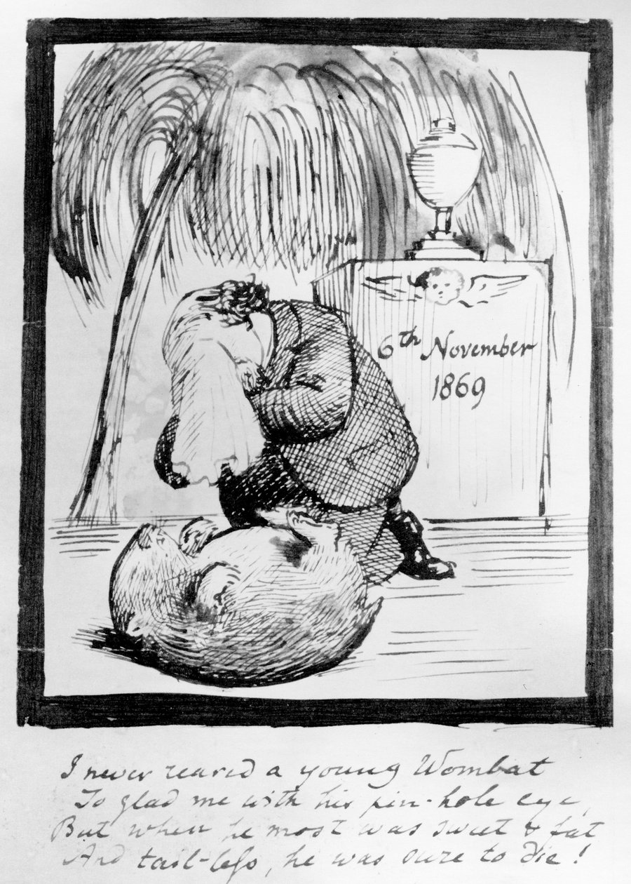 Rossetti opłakujący śmierć swojego Wombata, 1869 (pióro i atrament na papierze) autorstwa Dante Gabriel Charles Rossetti