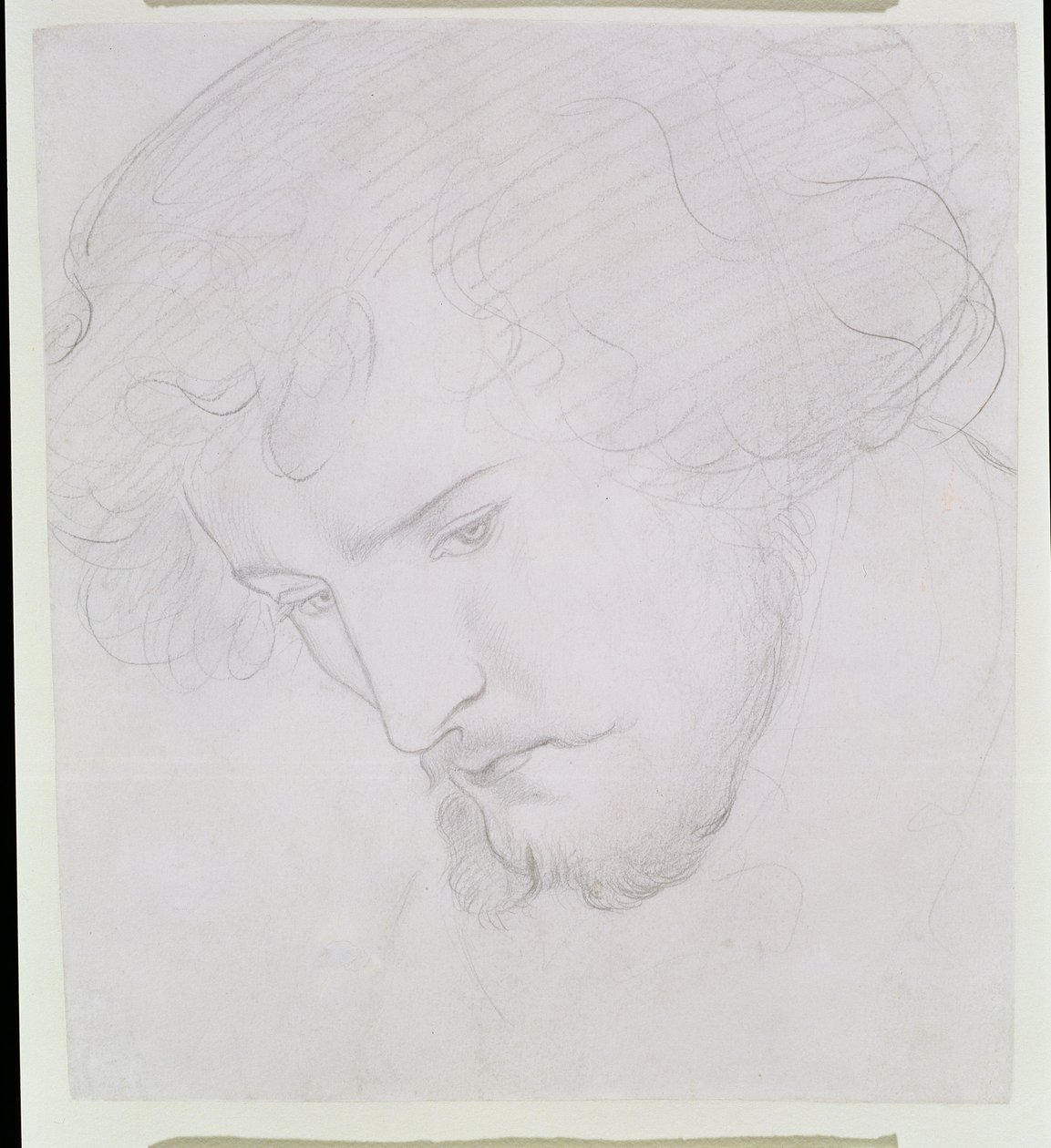 Nasienie Dawida — studium dla Dawida, 1859-1862 autorstwa Dante Gabriel Charles Rossetti