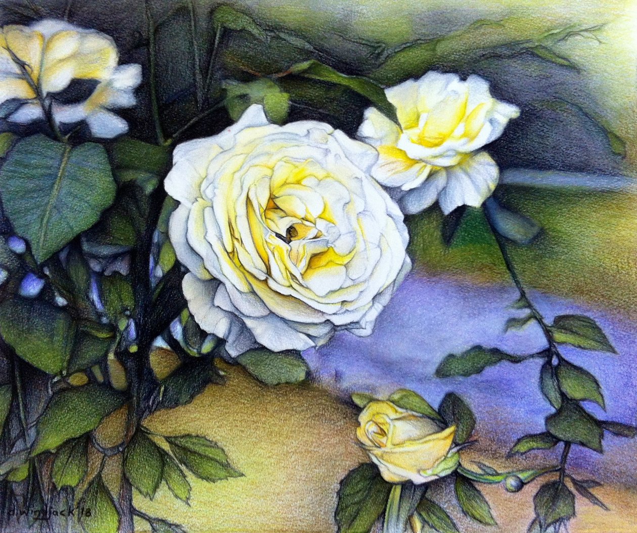 Alberta Roses In Bloom, 2018 (ołówek na papierze) autorstwa Darrell Windjack