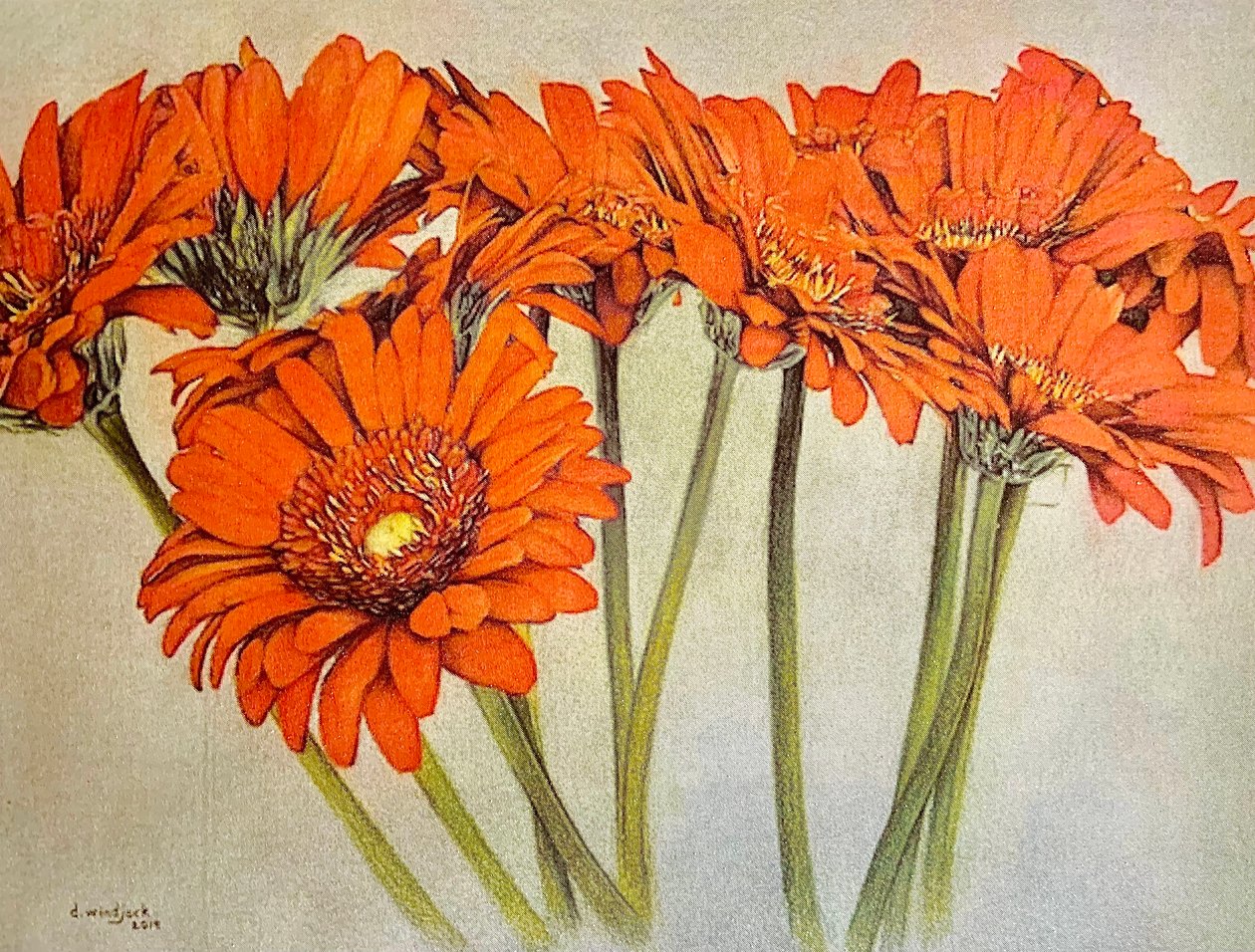 Orange Burst, 2019 (ołówek, akryl na papierze) autorstwa Darrell Windjack