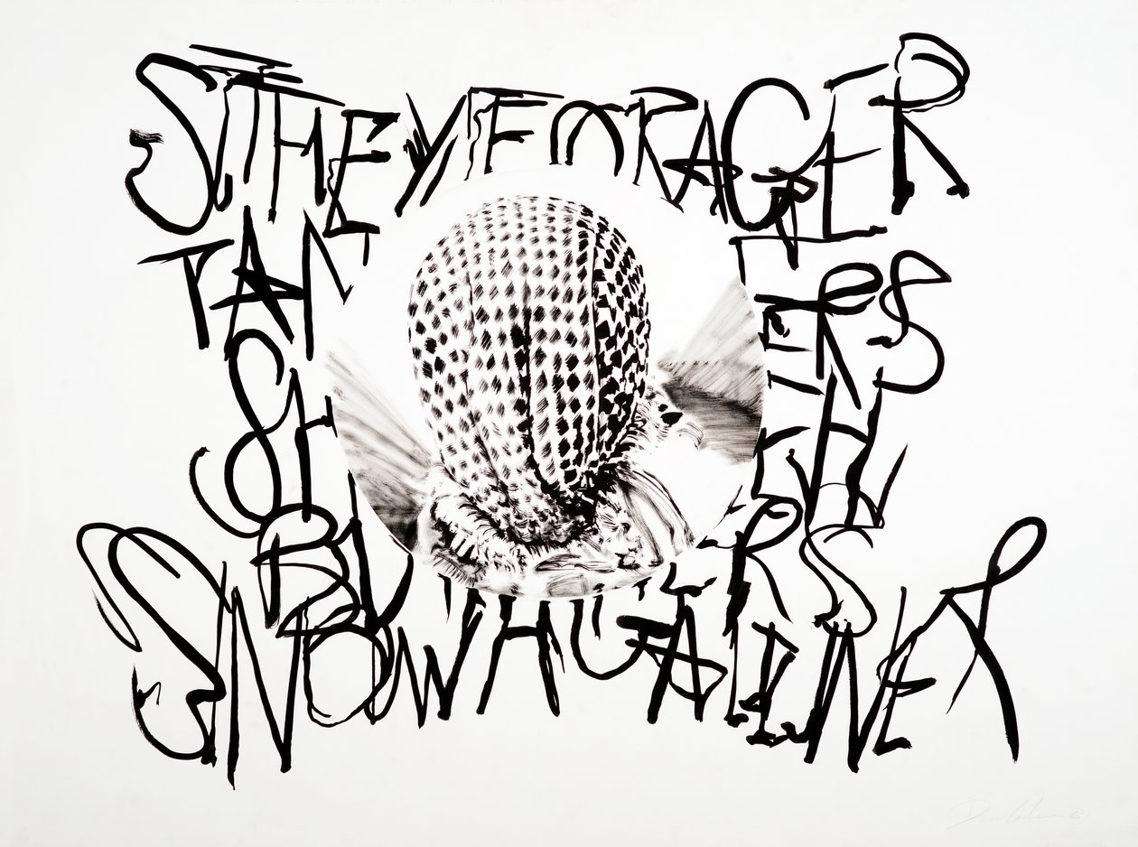 Lansdcape, 2003 (tusz na papierze) autorstwa Darren Coffield