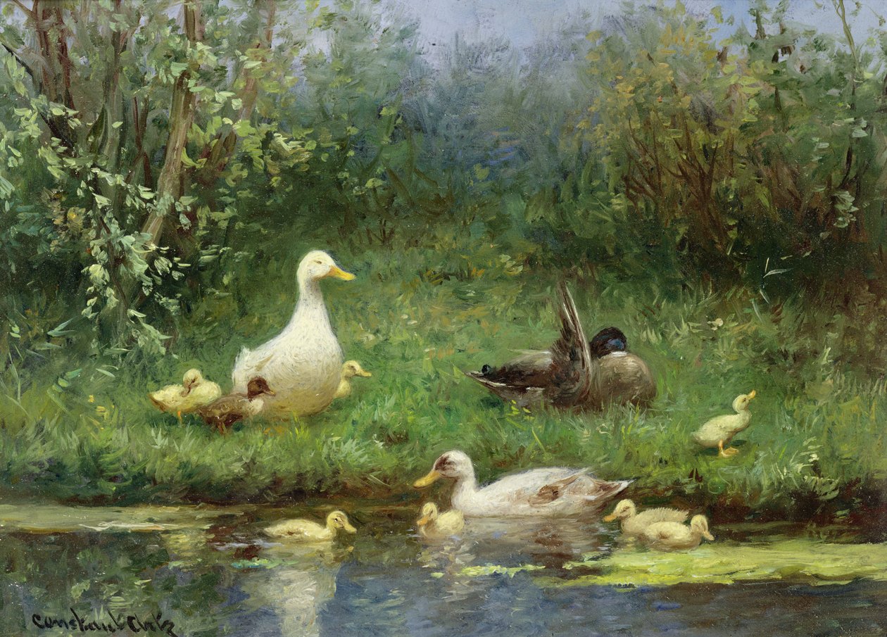 Kaczki na brzegu rzeki autorstwa David Adolph Constant Artz