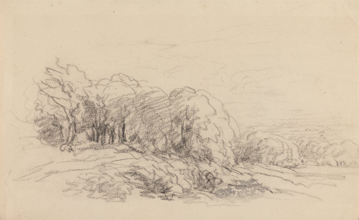 Krajobraz z drzewami autorstwa David Cox