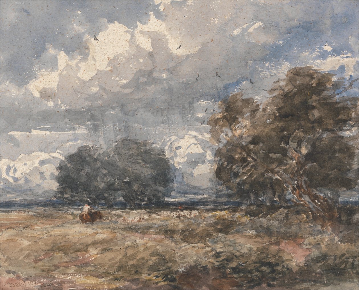 Pasienie trzody, wietrzny dzień autorstwa David Cox