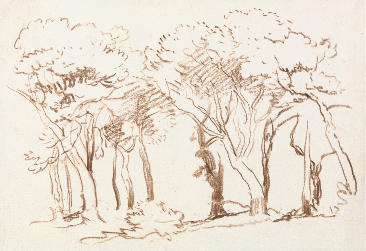 Studium Drzew autorstwa David Cox