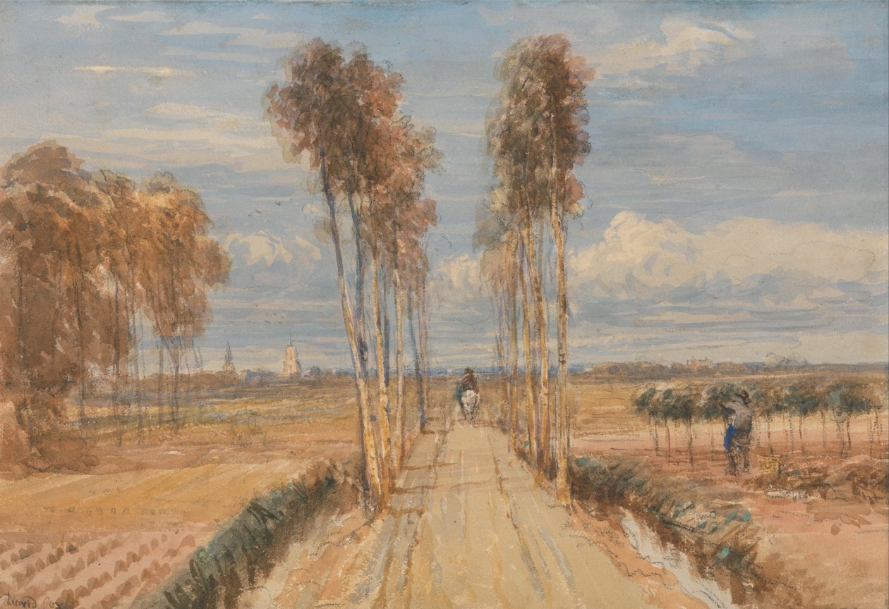 Aleja Topolowa, za Hobbema autorstwa David Cox
