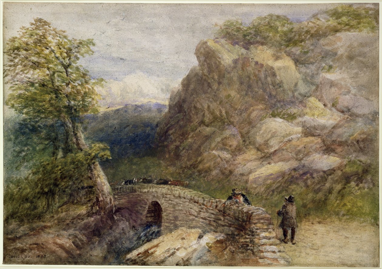 Widok w północnej Walii, 1858 autorstwa David Cox