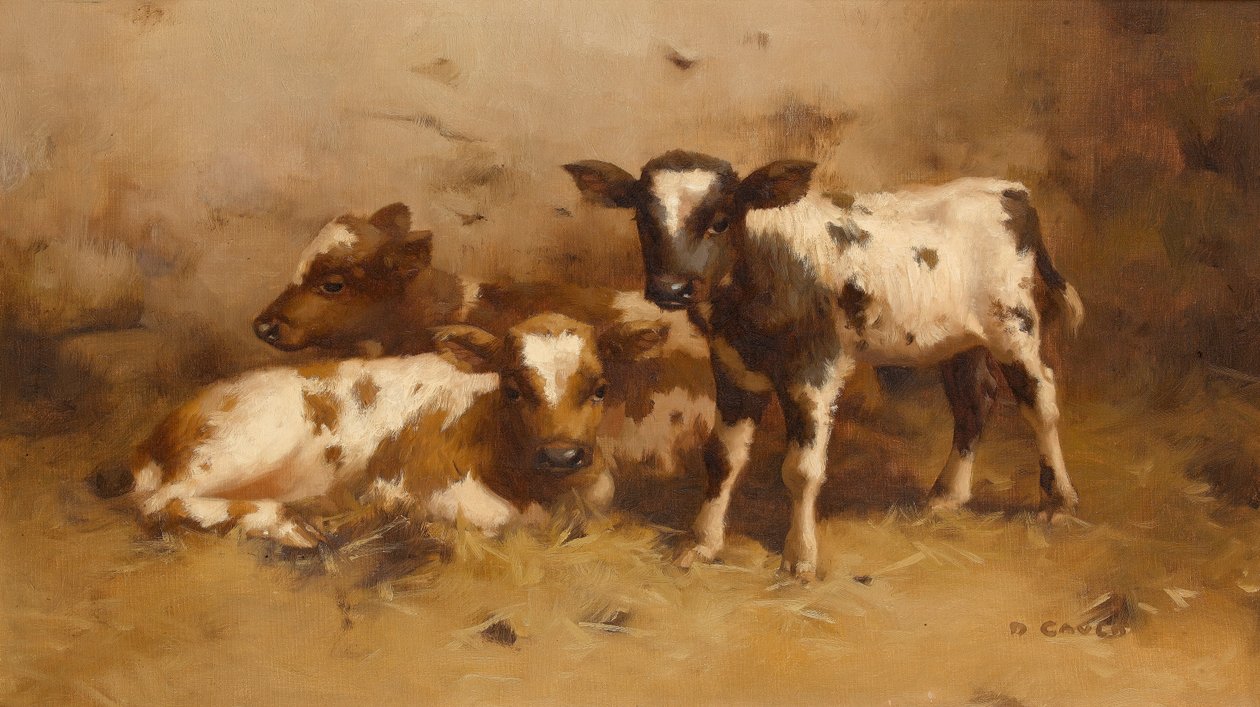 Trzy cielęta w stodole autorstwa David Gauld
