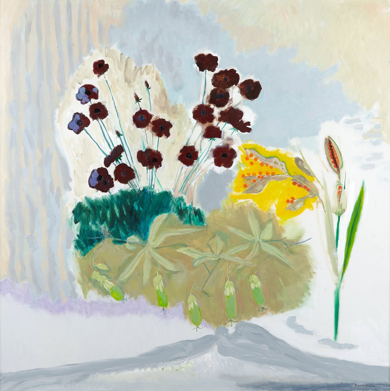 Seedpods and Cosmos, 2010 (olej na płótnie) autorstwa David Alan Redpath Michie