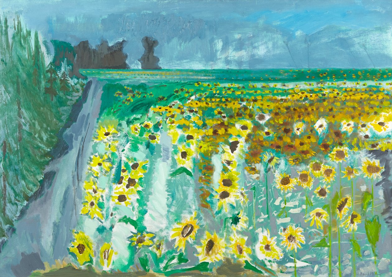 Słoneczniki i Mistral, 2002 (olej na płótnie) autorstwa David Alan Redpath Michie
