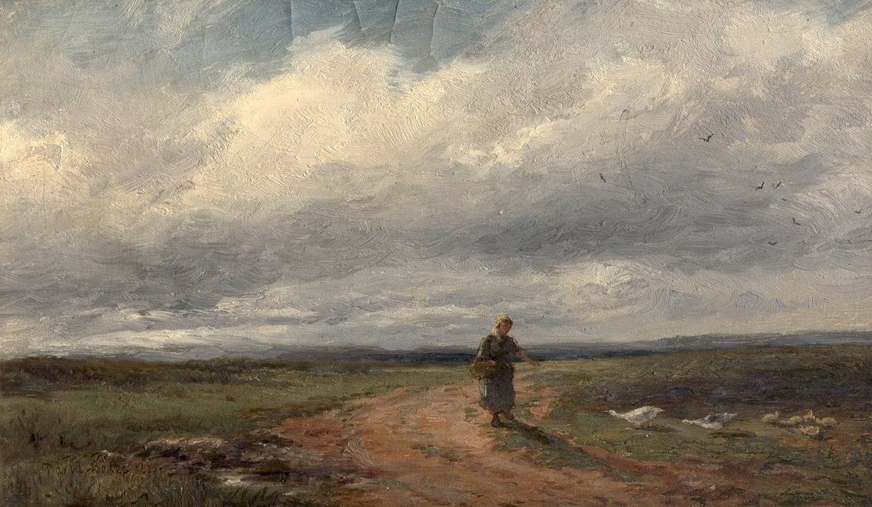 Pospolity Wrzos, 1875 autorstwa David Bates