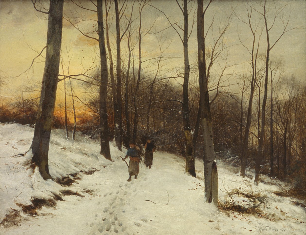 Lasy Malvern (olej) autorstwa David Bates