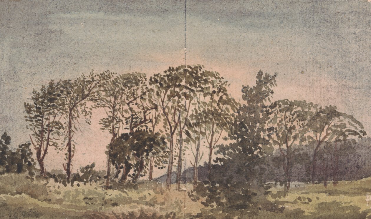 Krajobraz z drzewami autorstwa David Charles Read