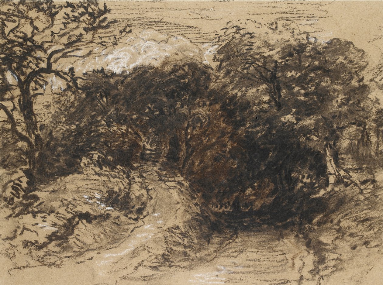 Pusta ulica w pobliżu Harborne, Derbyshire (czarna kreda z akcentami bieli i trochę brązowego rozmycia) autorstwa David Cox