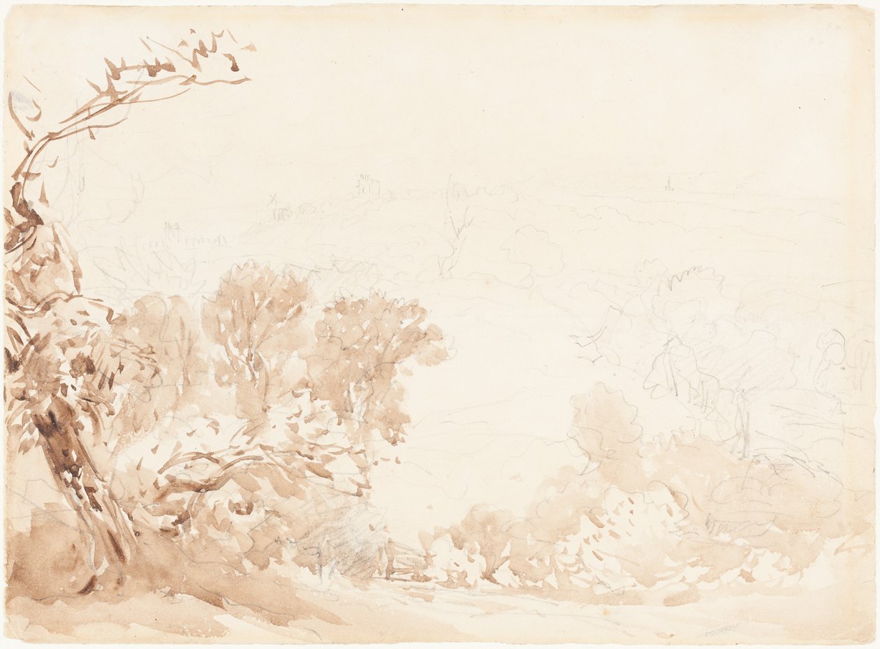 Zbocze wzgórza i drzewa autorstwa David Cox