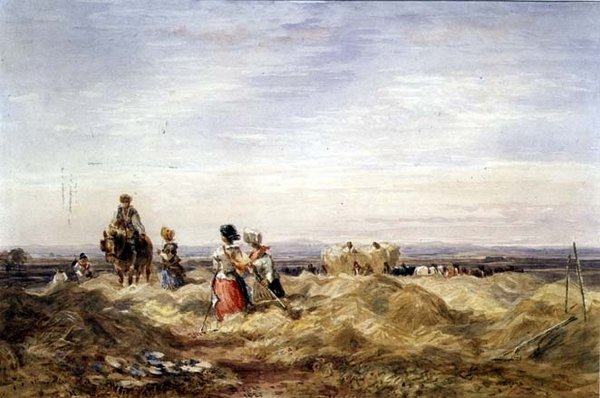W Hayfield (akwarela) autorstwa David Cox