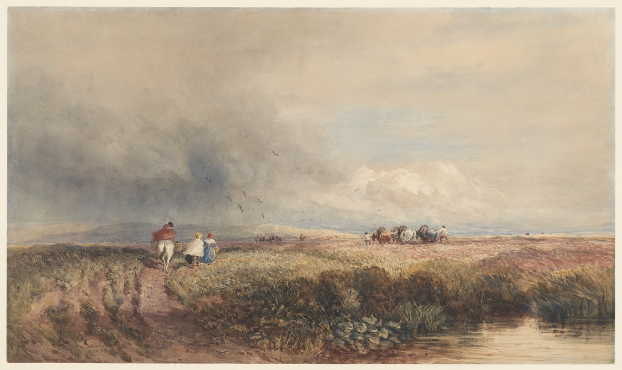 Podróż do domu autorstwa David Cox