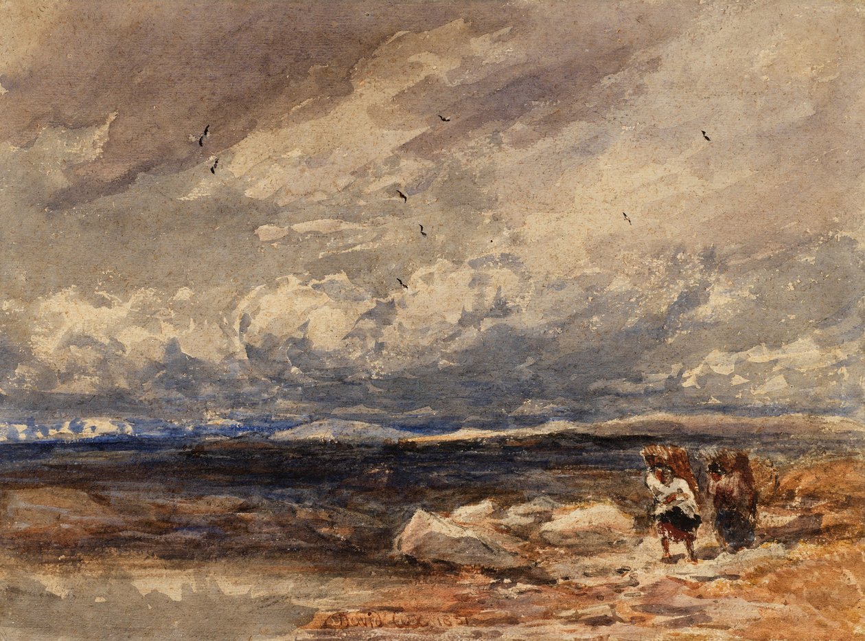 Na mchu Carrington autorstwa David Cox