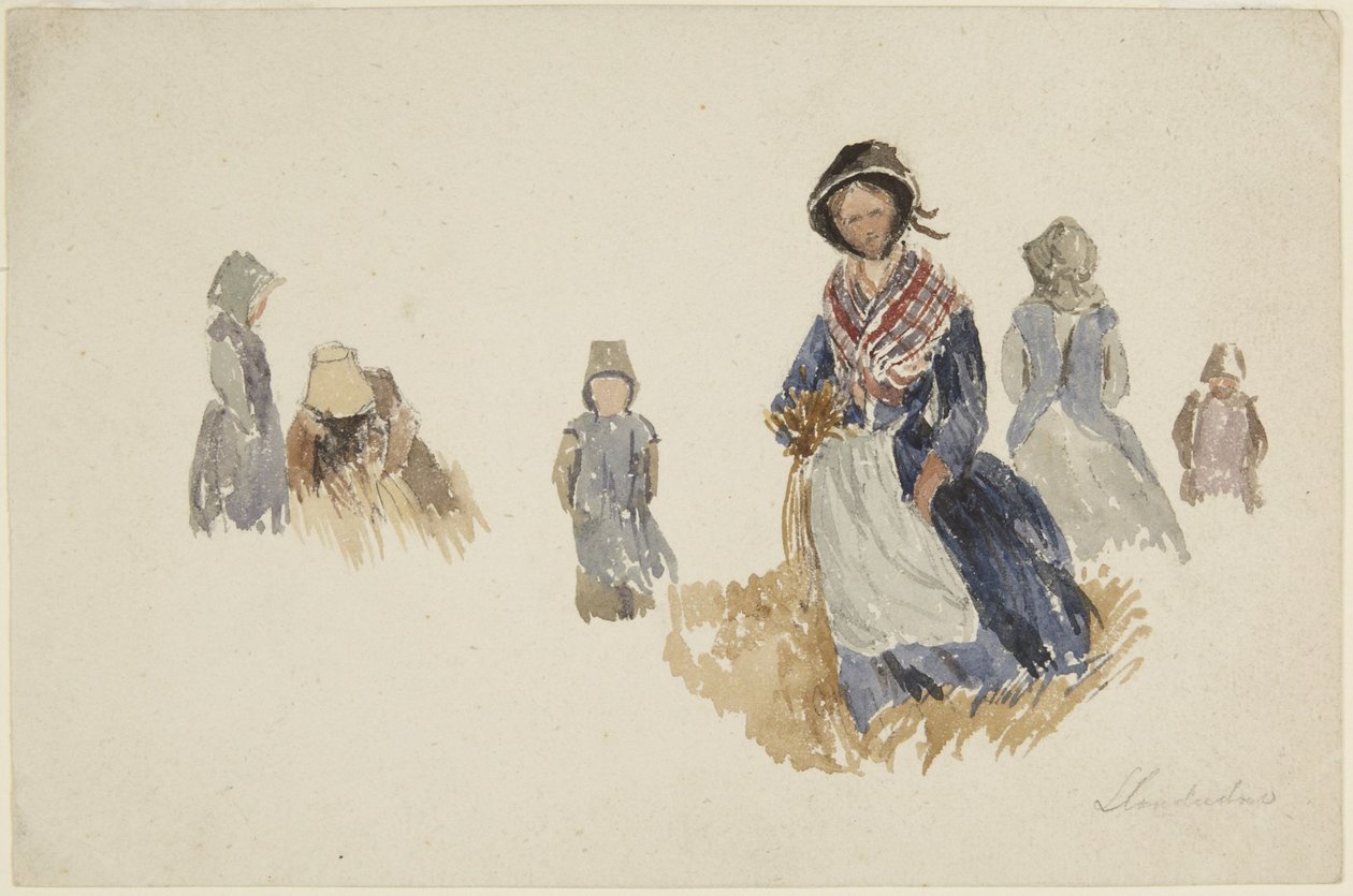 Studia kobiet autorstwa David Cox