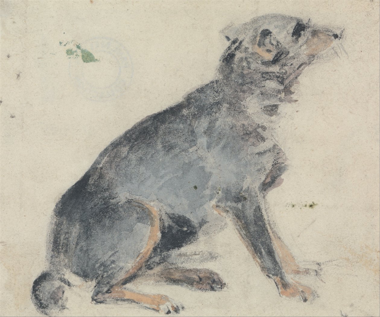 Studium psa autorstwa David Cox