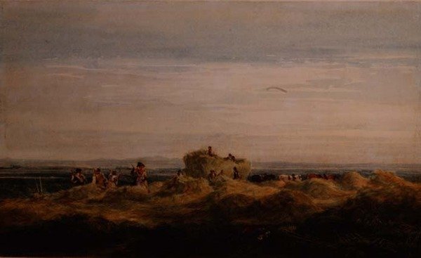 Hayfield autorstwa David Cox