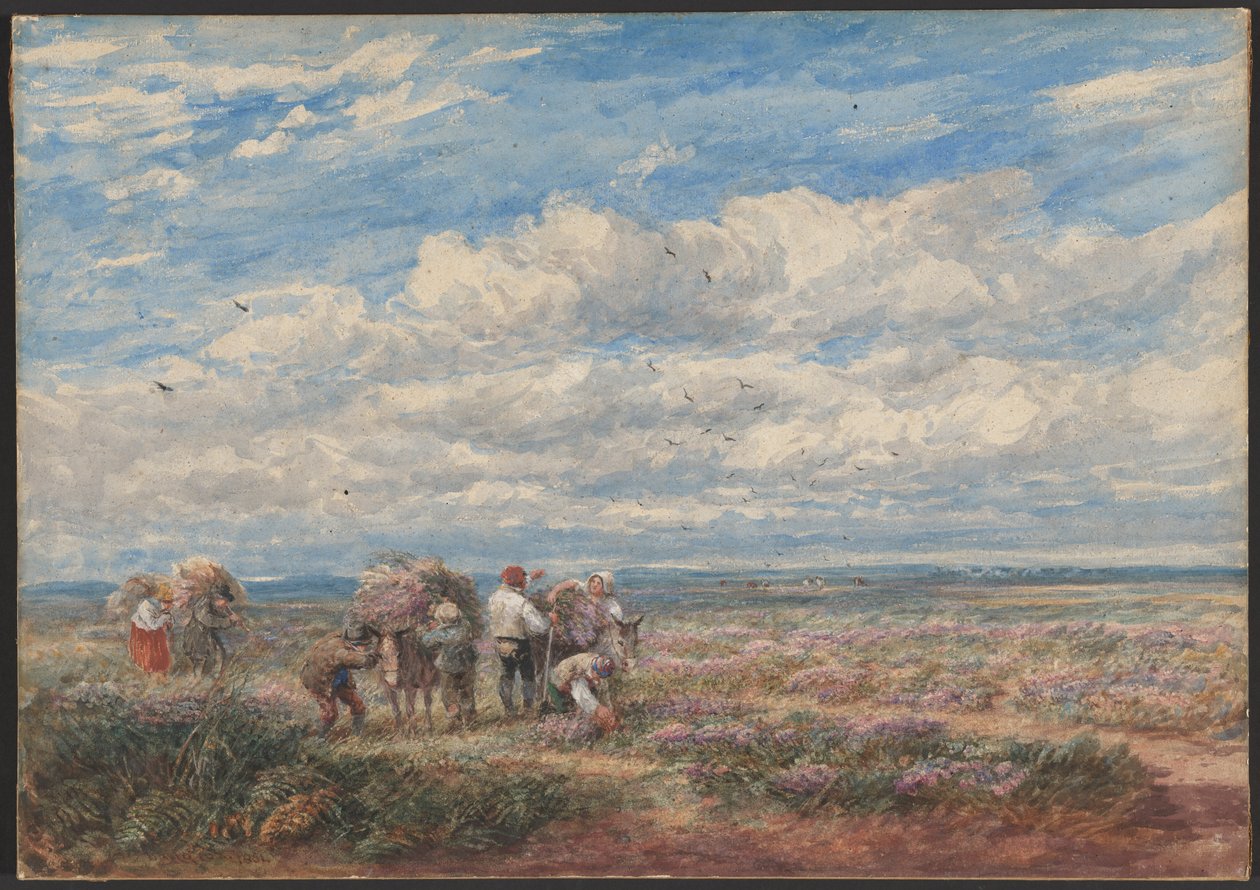 Zbieracze wrzosu lub janowca autorstwa David Cox