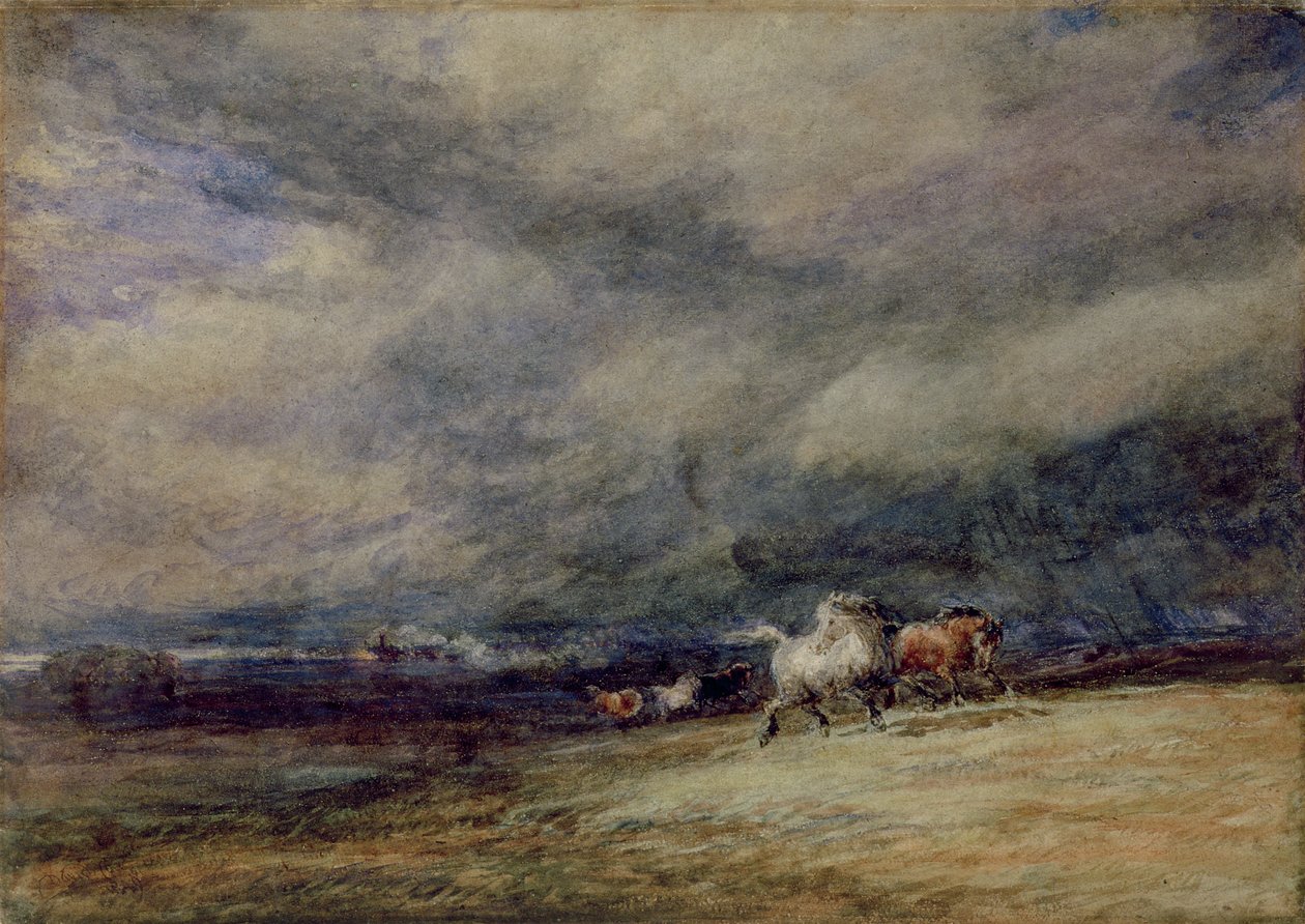 Nocny pociąg autorstwa David Cox