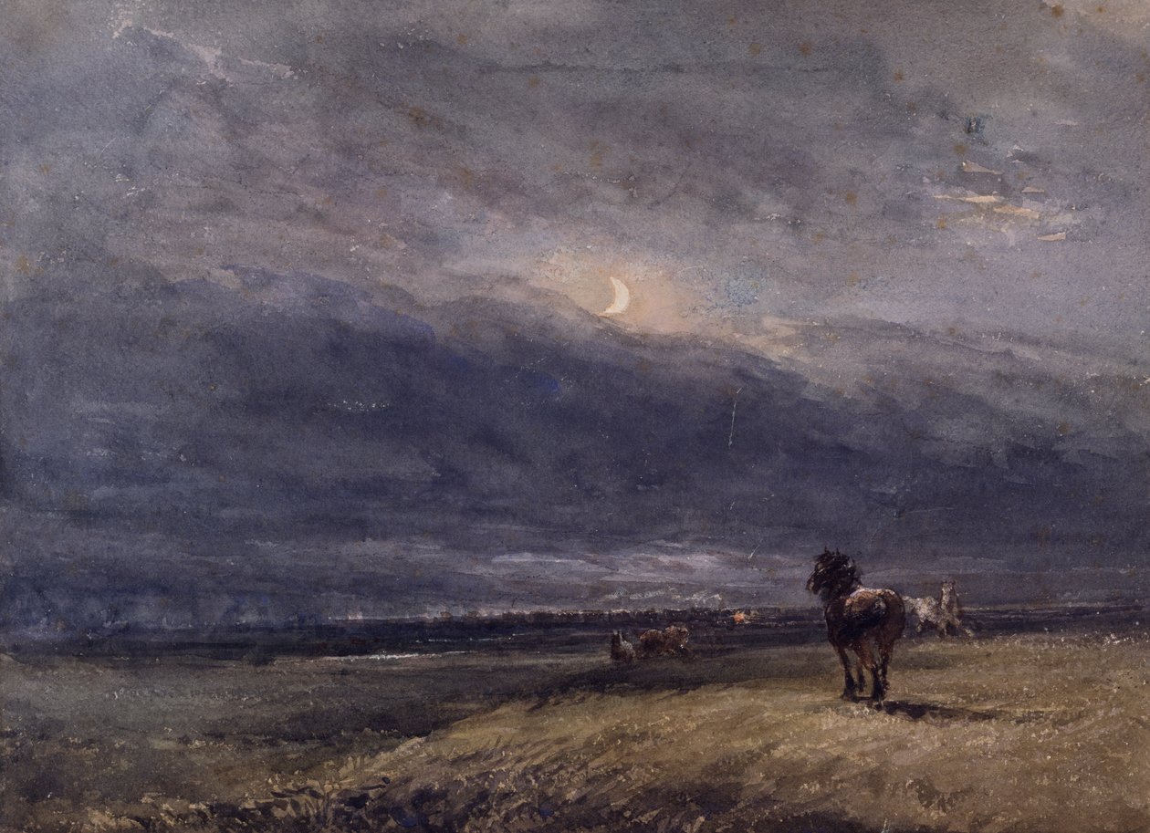 Nocny pociąg autorstwa David Cox