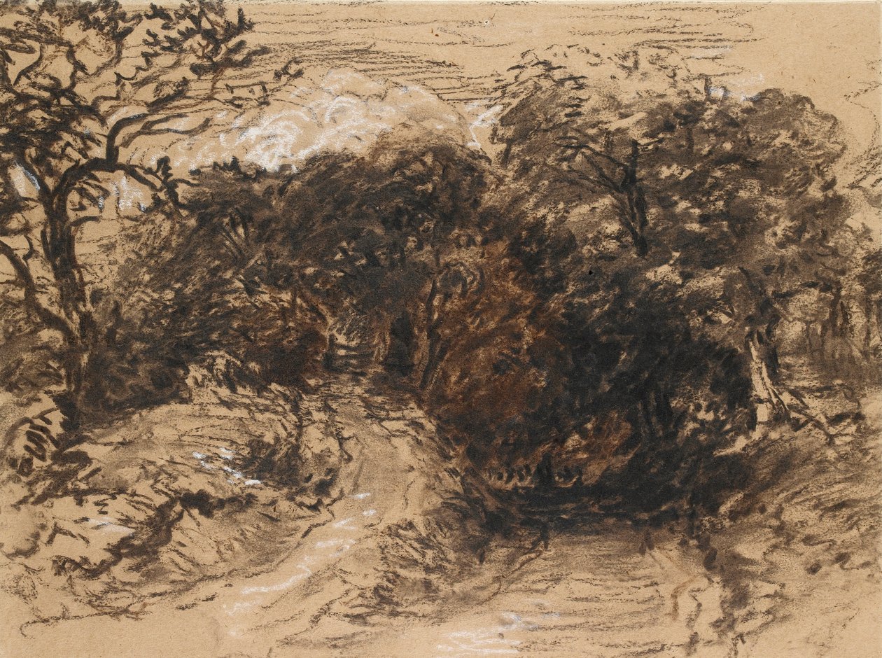 Pusta Uliczka w pobliżu Harborne, Derbyshire, XIX wiek autorstwa David Cox the elder