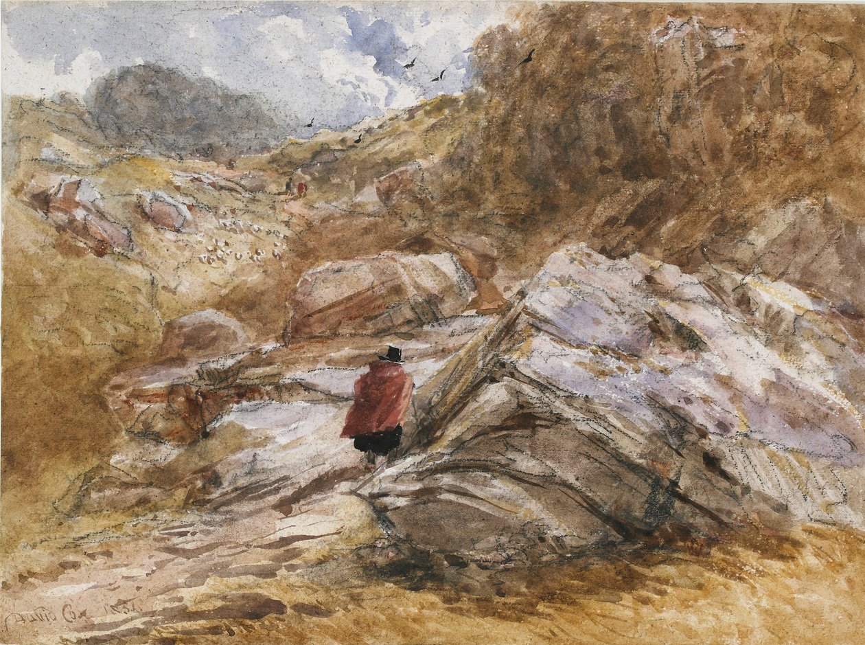 Przełęcz górska w Bettws-y-Coed, 1851 autorstwa David Cox the elder