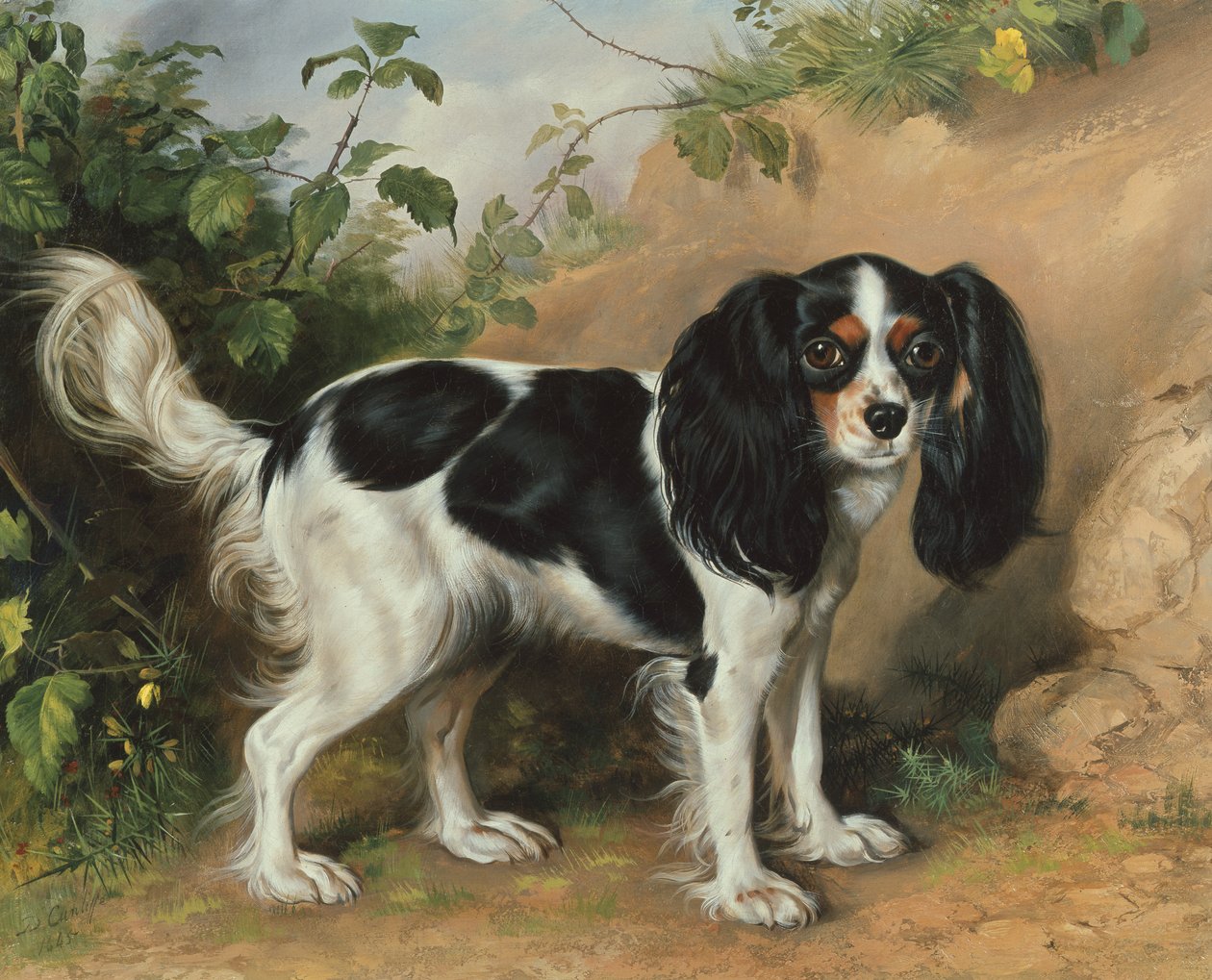 King Charles Spaniel autorstwa David Cunliffe