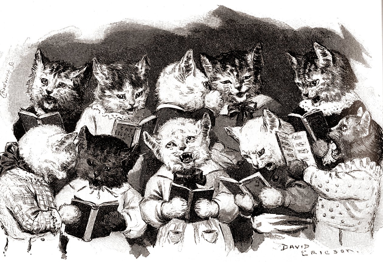 Śpiewający chór kotów, początek XX wieku (ilustracja) autorstwa David Ericson